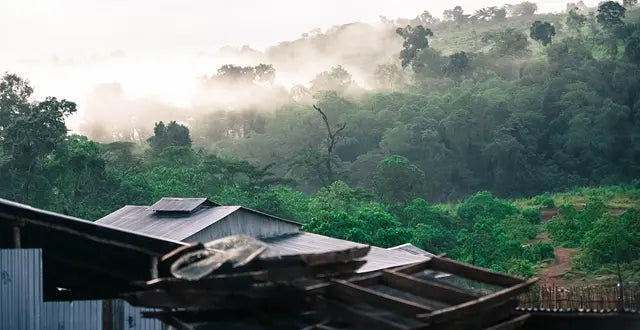 Ground Coffee Society Ethiopia Guji Mormora landscape