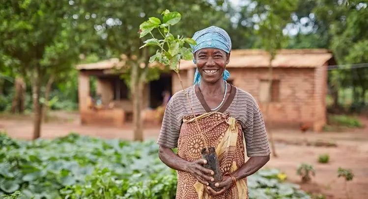 Ground Coffee Society coffee farmers