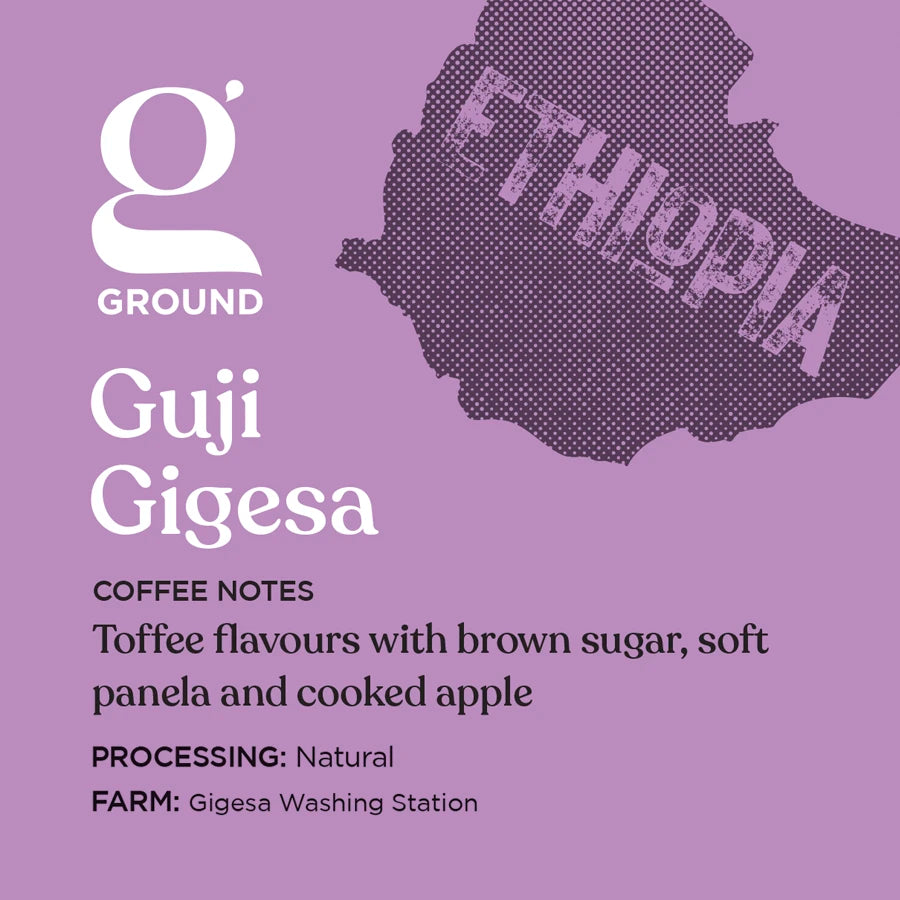 Ethiopia Guji Gigesa