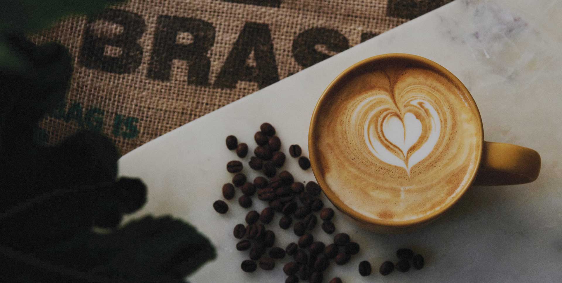 Ground Coffee Society hero image of coffee cup with beans on coffee bag