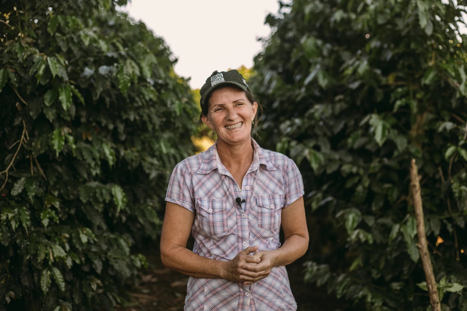 Caveman House Espresso