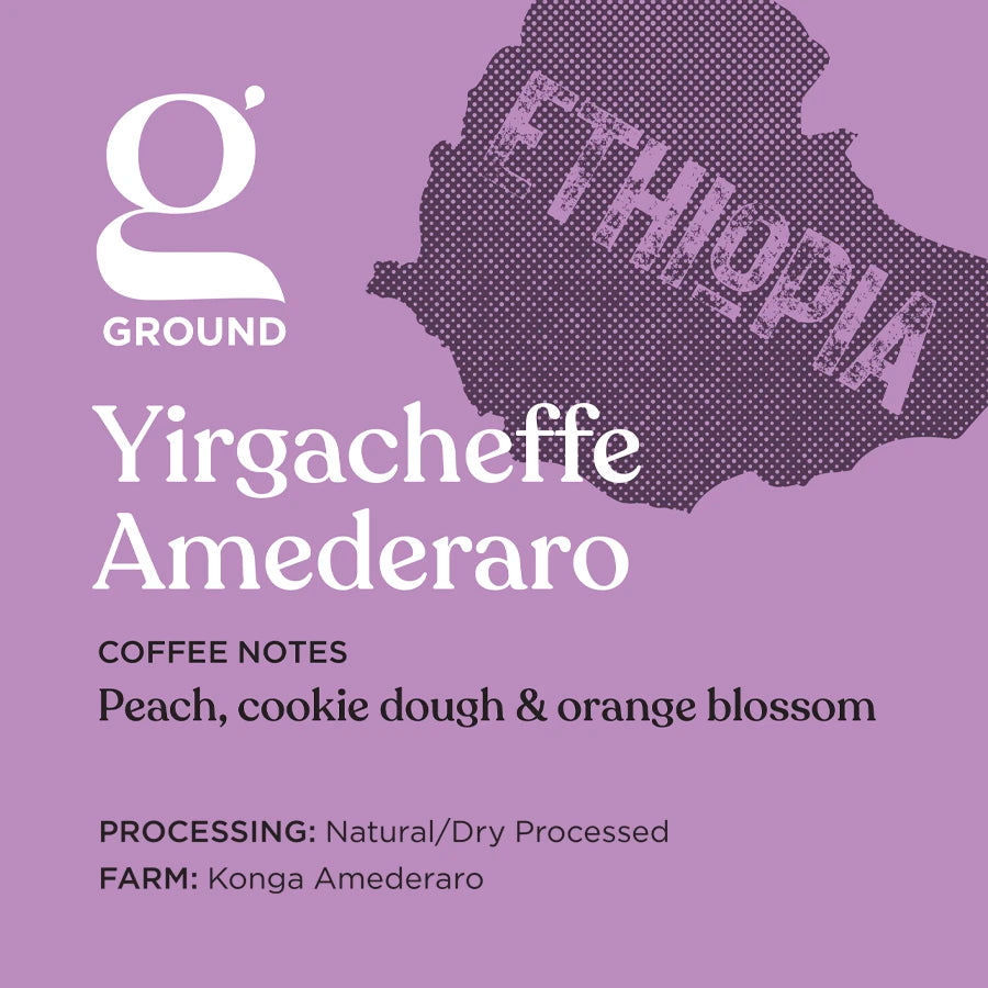 Yirgacheffe Amederaro