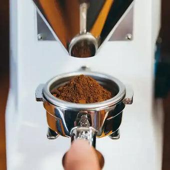 Mazzer Lux D Espresso Grinder - dolceneve