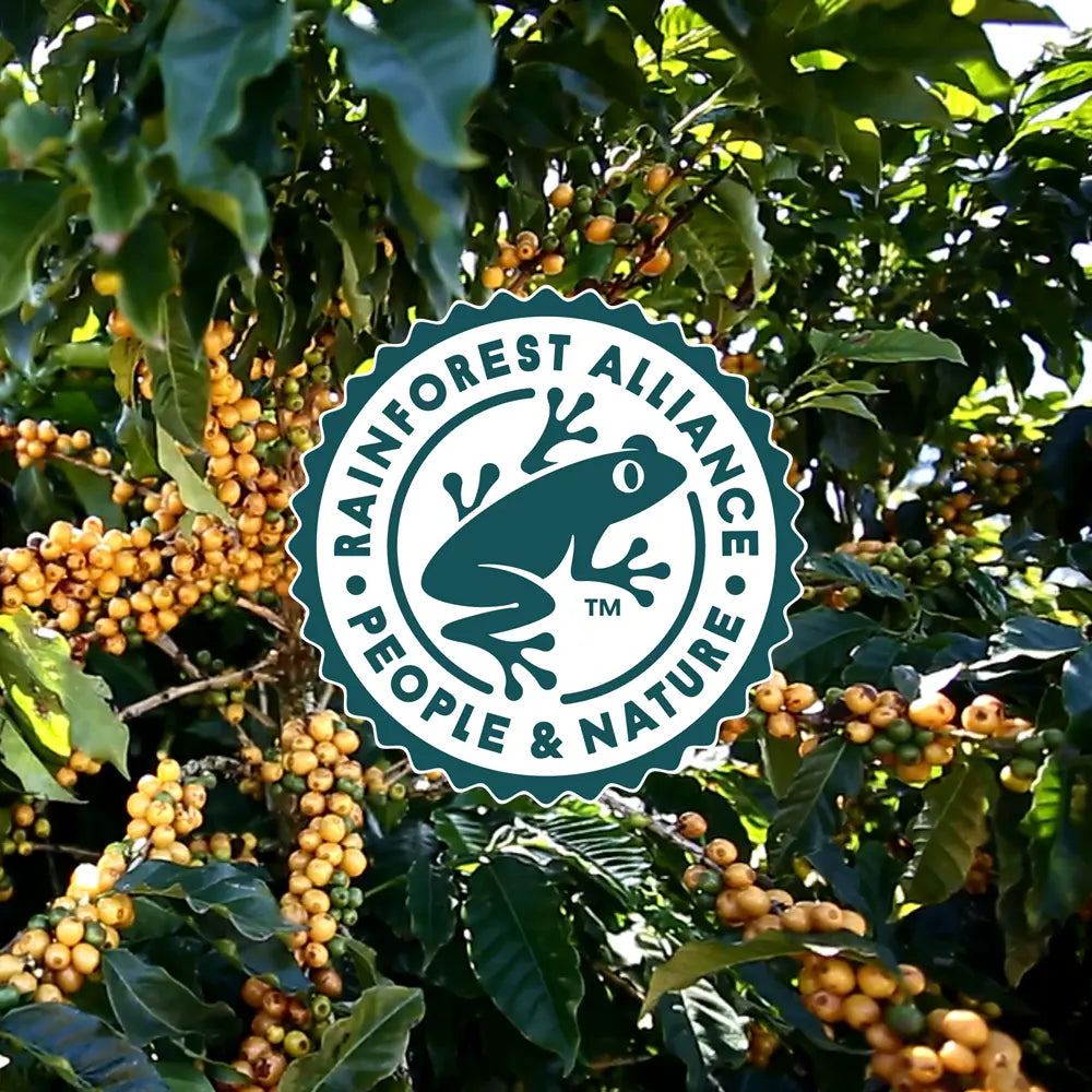 Rainforest Alliance logo on coffee plants
