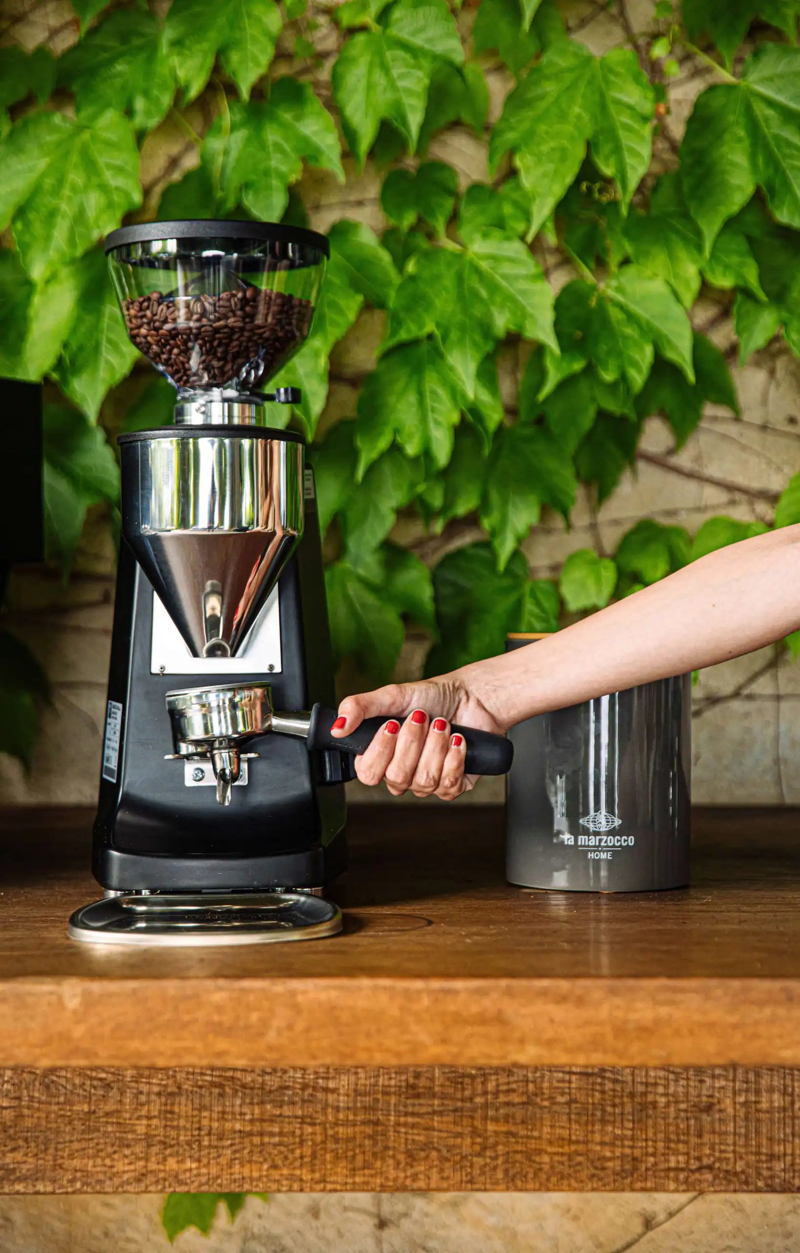 Mazzer Lux D Espresso Grinder - dolceneve