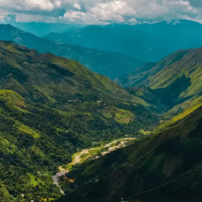 Peru Aurora | Special Edition