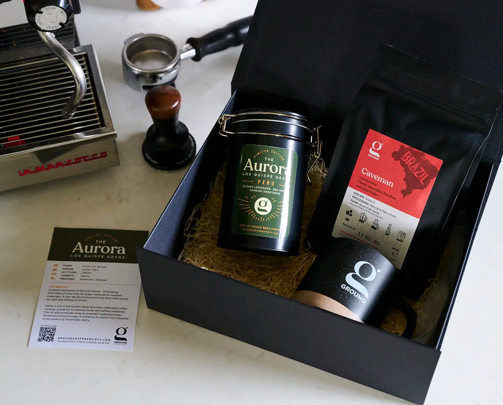 Aurora Gift Set