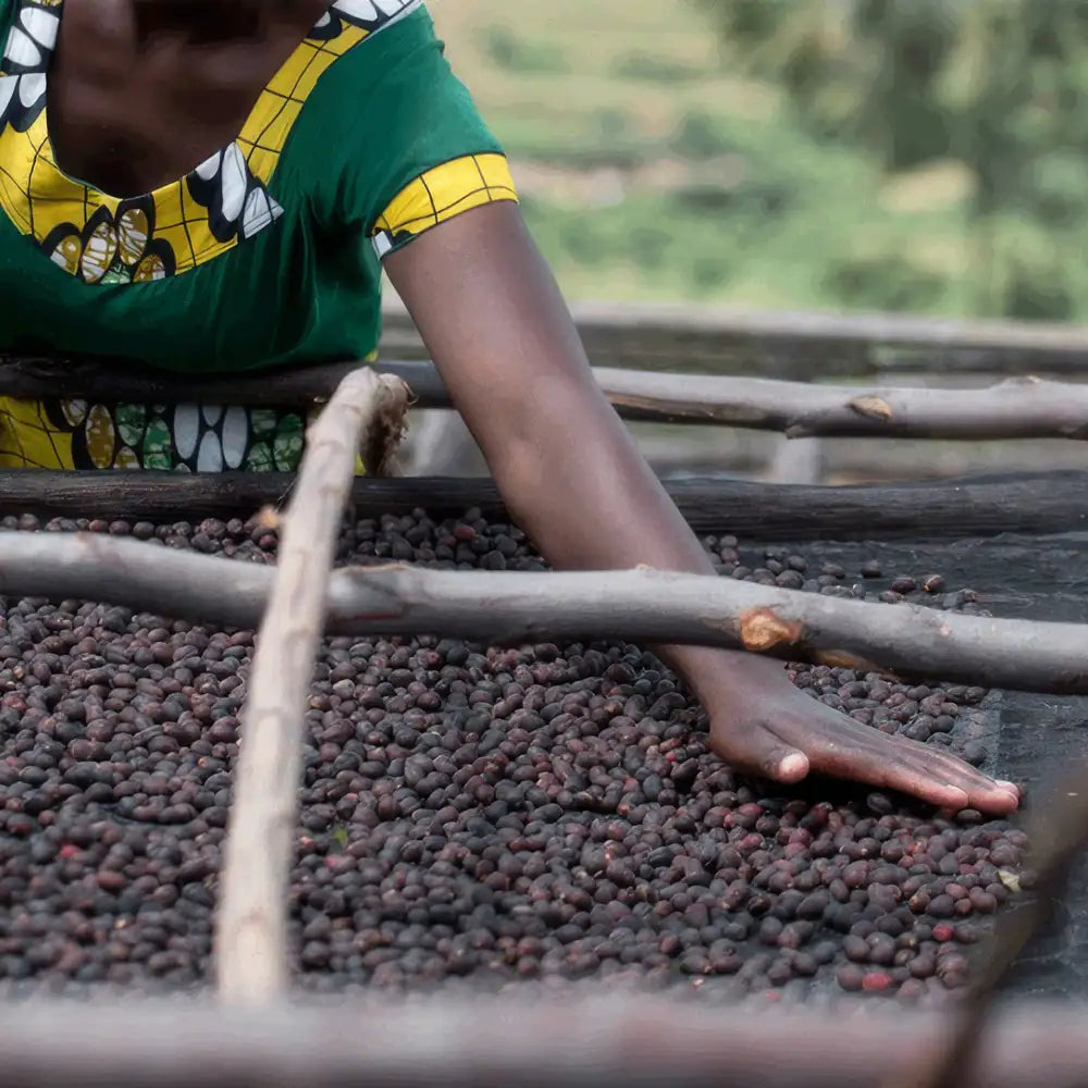 Rwanda Dujundekawa Nkara Natural