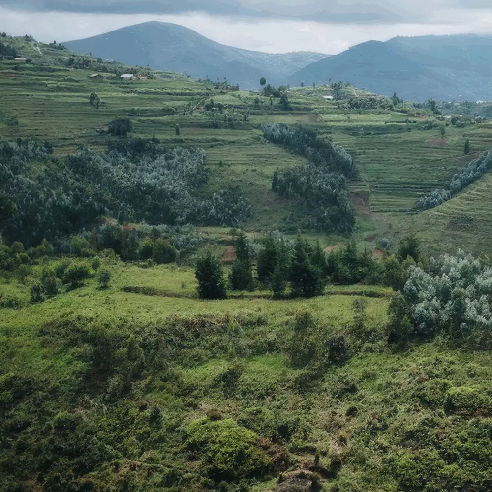 Rwanda Dujundekawa Nkara Natural