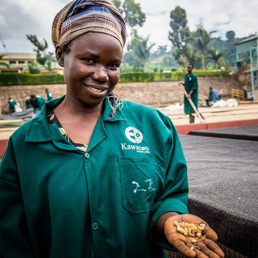 Ground Coffee Society – Uganda Sipi Falls female farmer holding coffee beans