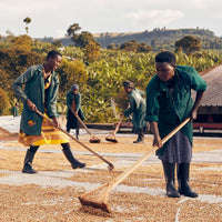 Ground Coffee Society – Uganda Sipi Falls farmers