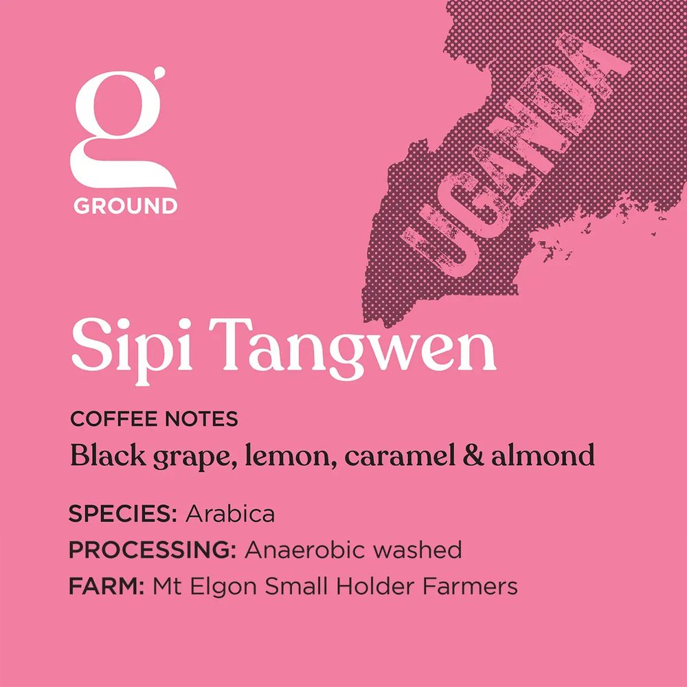 Uganda Sipi Tangwen