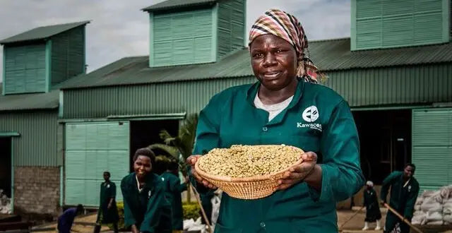 Ground Coffee Society Uganda Sipi Falls female farmers
